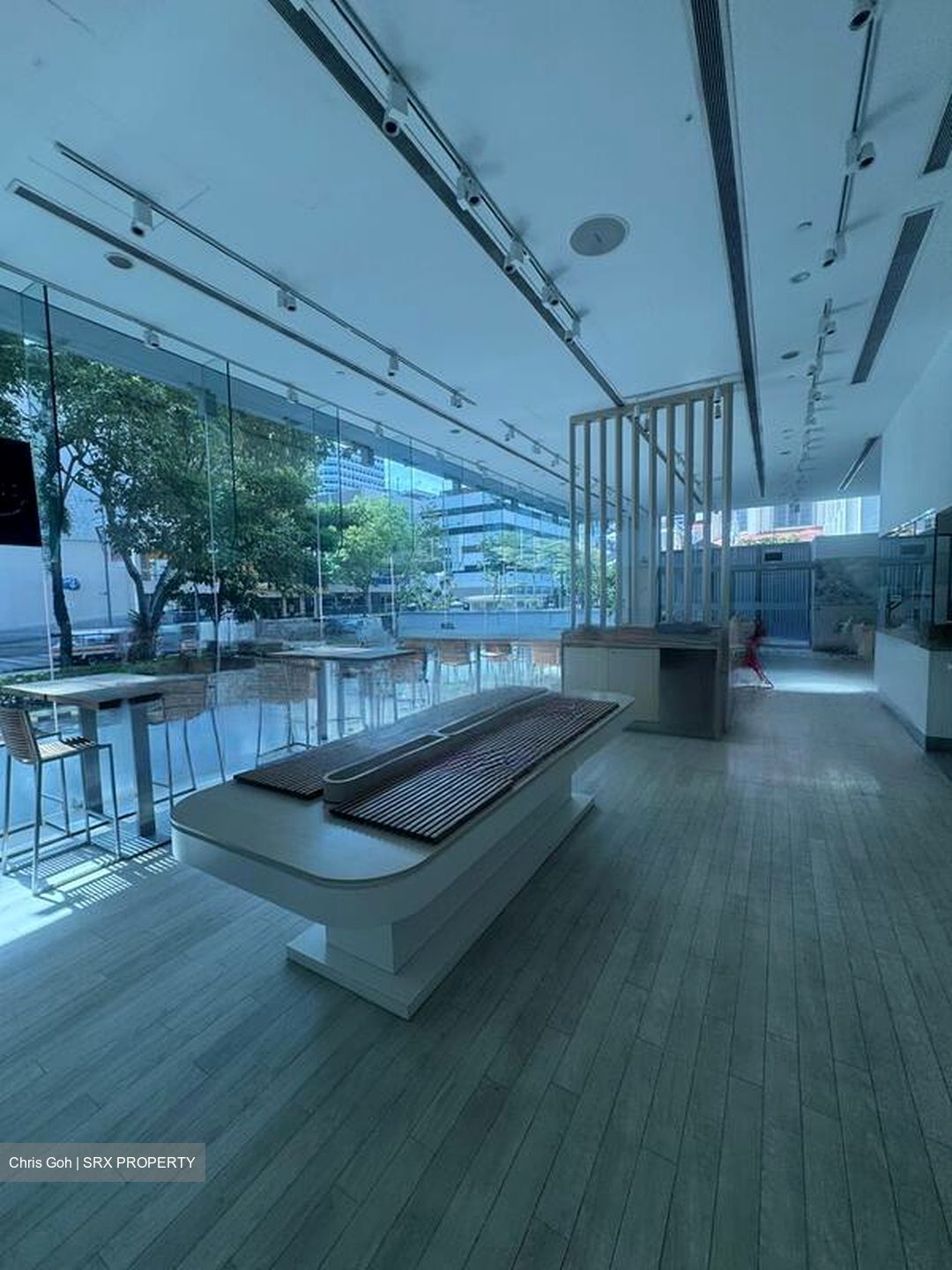 Bugis Junction (D7), Retail #459018111